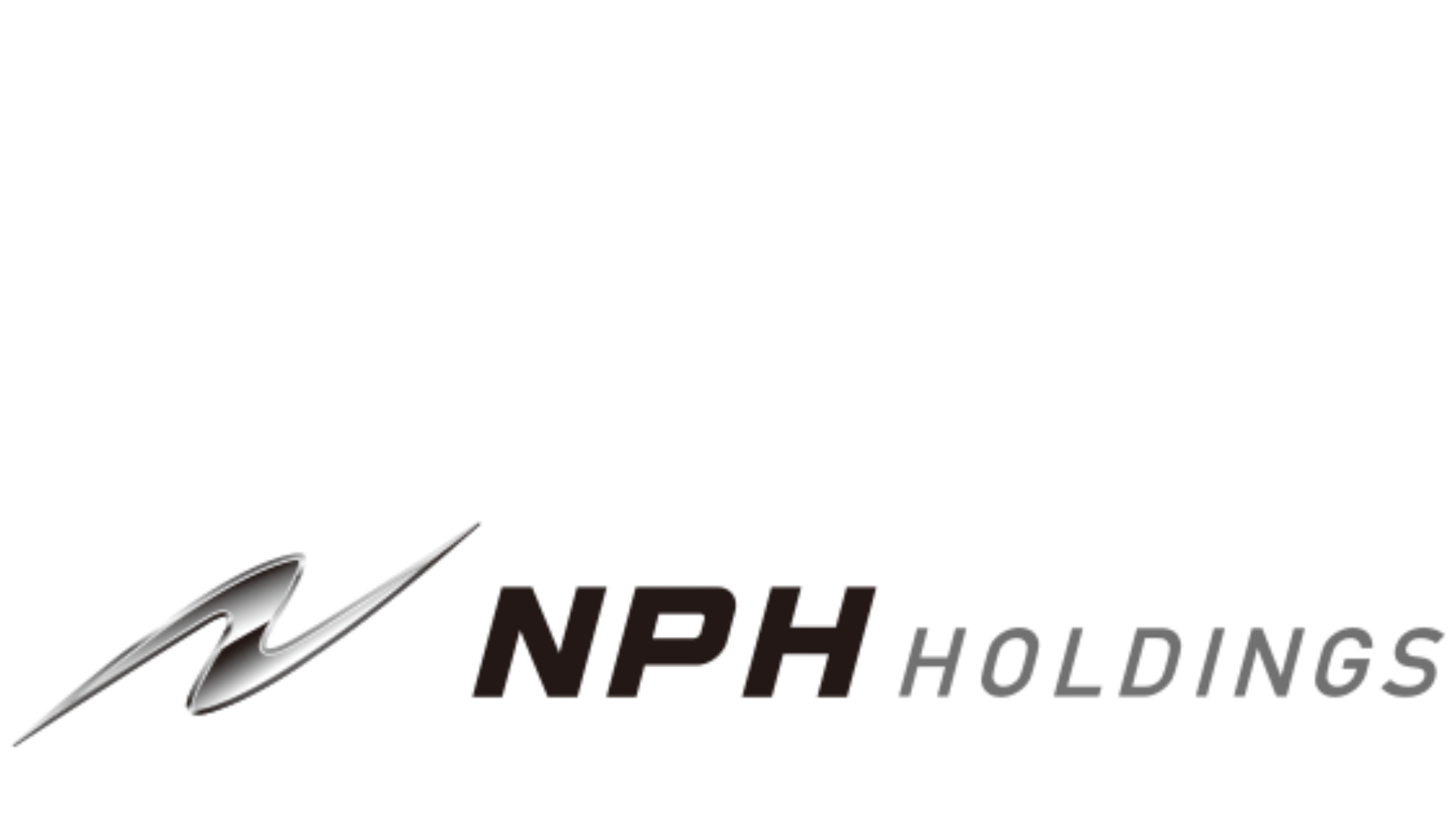 NPH HOLDINGS